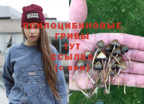 прущая мука Балахна