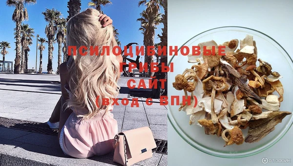 гашик Баксан