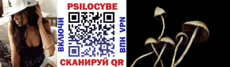 Галлюциногенные грибы Psilocybine cubensis  сколько стоит  Вятские Поляны 