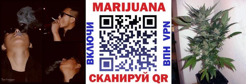 Бошки марихуана Amnesia цены Вятские Поляны